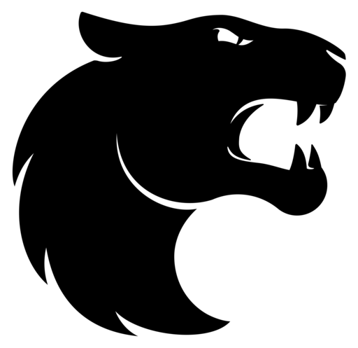 FURIA Esports
